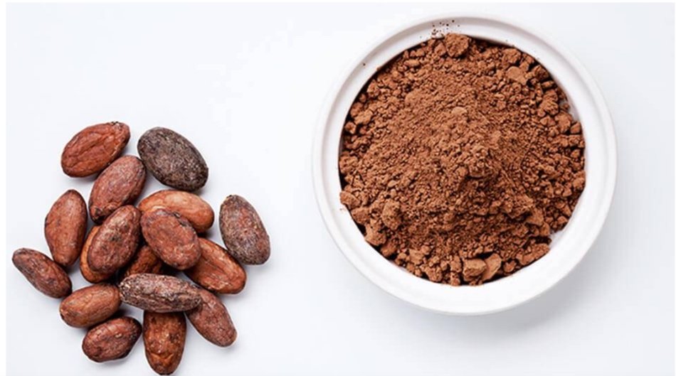 Propiedades y origen de la manteca de cacao 