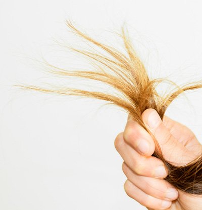 Paseo importante Aparador 10 consejos para evitar que tu pelo se vuelva seco y quebradizo | Blog  Garnier